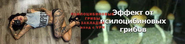 шишки Липки