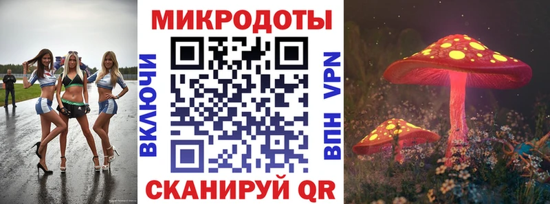 закладка  omg   Псилоцибиновые грибы Psilocybe  Урус-Мартан 