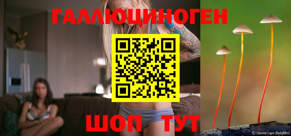 Урус-Мартан  Галлюциногенные грибы GOLDEN TEACHER  Вход с VPN  Галлюциногенные грибы Magic Shrooms 