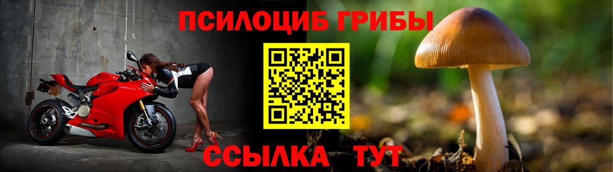 Псилоцибиновые грибы мухоморы Урус-Мартан